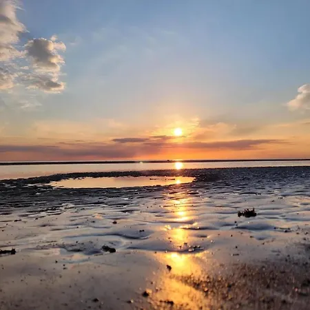 Aalernhus Residenzen In St Peter-ording Ferienhaus *